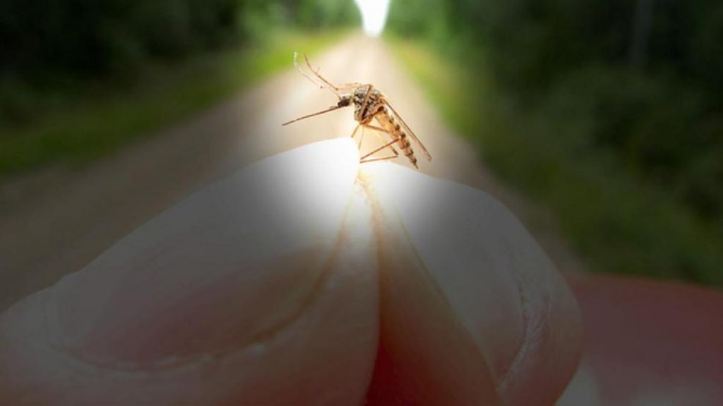 Repelente De Mosquitos Que Puede Usar