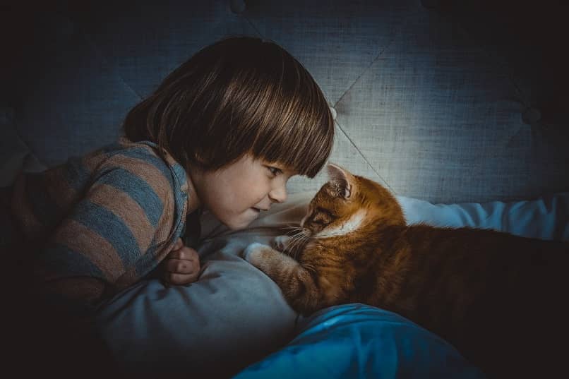 La Hora Sagrada De Dormir Y Cero Distracciones 