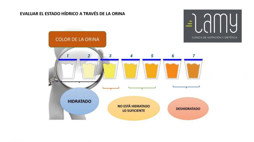 Métodos Para Corroborar Si Estoy Hidratado O No