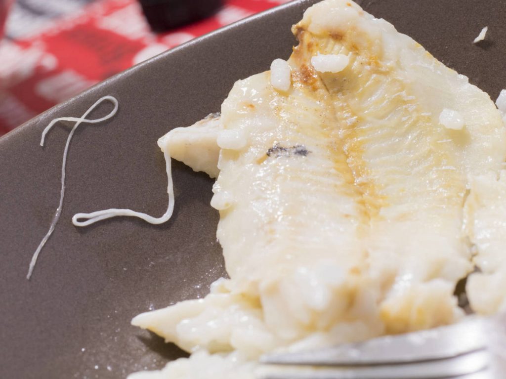 ¿Qué es el Anizakis?