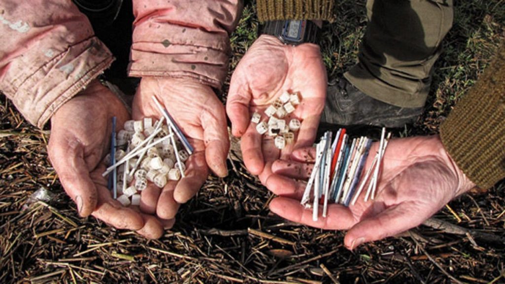Bastoncillos Oídos Contaminantes