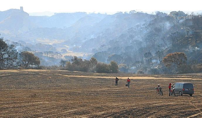 Bomberos prevén extinguir en próximas horas el fuego del Vedado