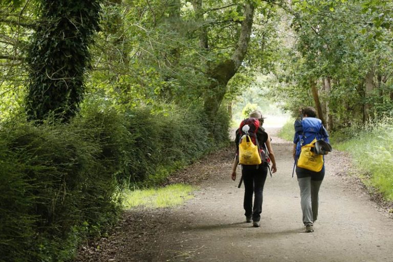 Ecoembes lanza una nueva edición de ‘Camino del Reciclaje’