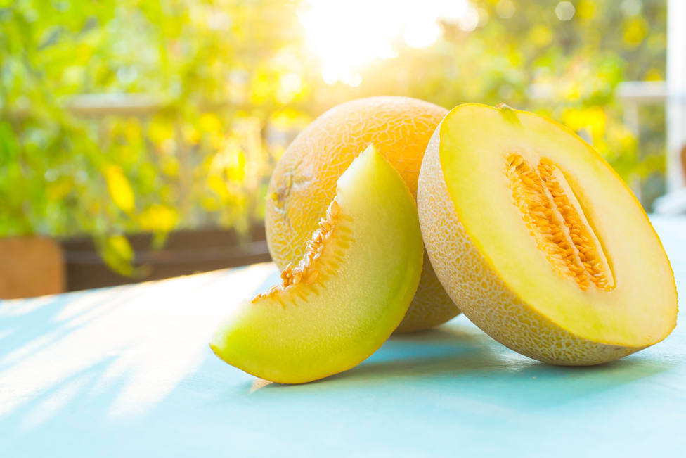 ¿Cuantas Variedades De Melón Hay?