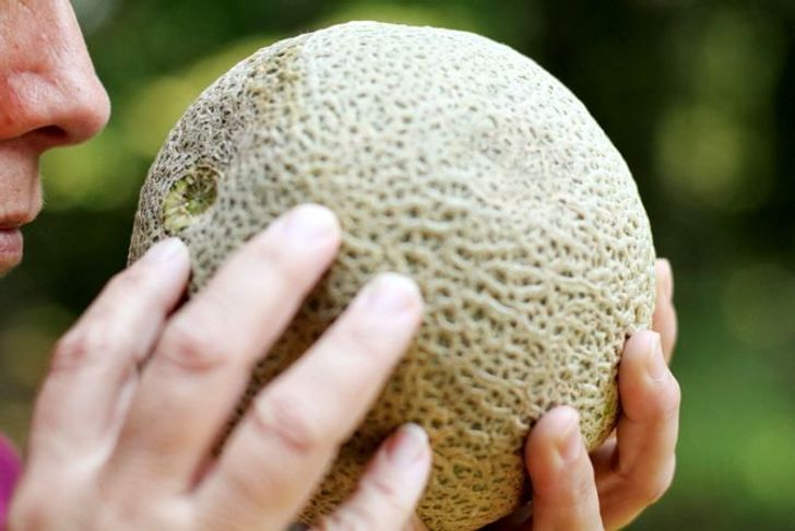 ¿Cómo Identificar Si Un Melón Está Maduro?