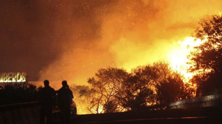 El fuego calcina 32.661 hectáreas desde enero hasta el 11 de julio