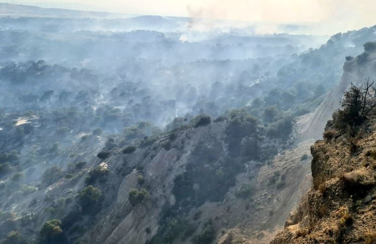El fuego del Vedado de Eguaras ha afectado a 517 hectáreas