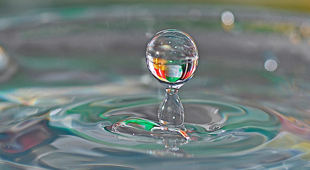 No Lo Acerques Al Agua