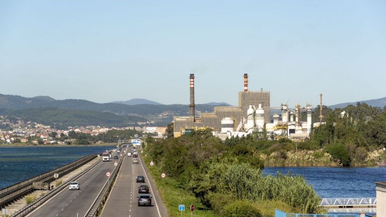 Ence se desploma más de un 14% en Bolsa, lastrado por la sentencia sobre su biofábrica