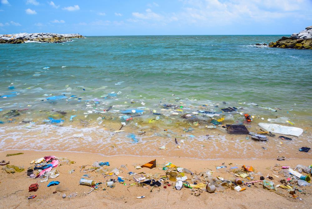 ¿Cuándo se considera una playa no contaminada?