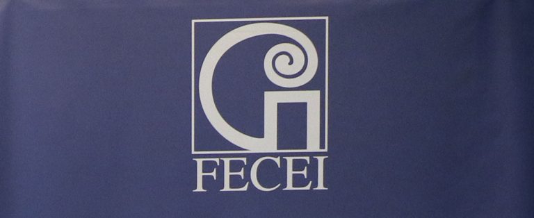 FECEI considera que el español puede ser una gran fuente de riqueza para España