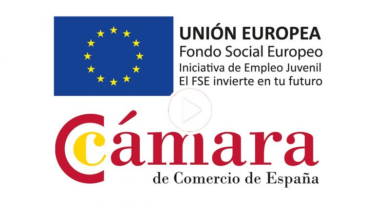Cámara de Comercio de España – Fondo Social Europeo. “Cómo impulsar el empleo juvenil”: La formación objetivo fundamental en Europa