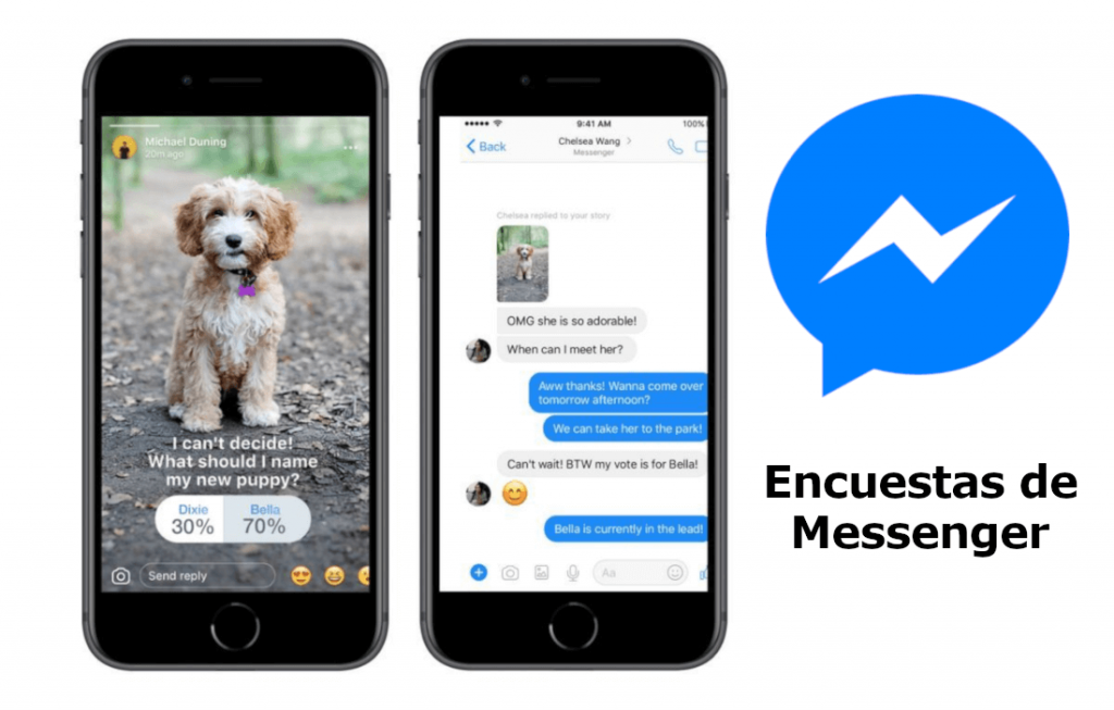 Funciones De Facebook Messenger Que Han Pasado Desapercibidas 9 Función Encuestas