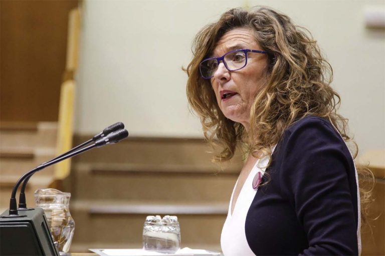 Euskadi: «Faltan herramientas con solidez jurídica» para adoptar medidas sobre movilidad