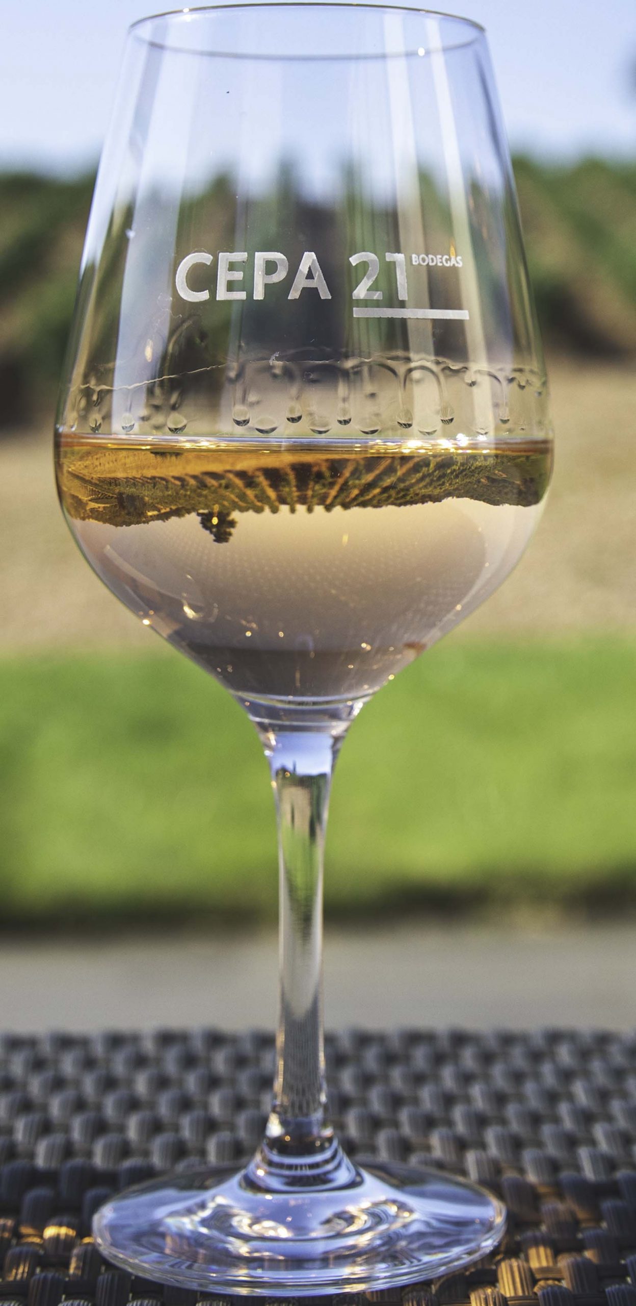 Vino De Calidad