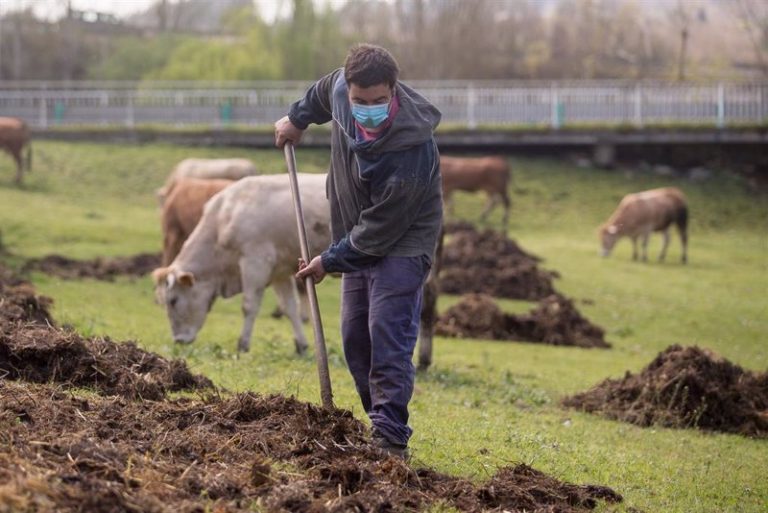La explotación agraria media en España tiene 46,9 hectáreas