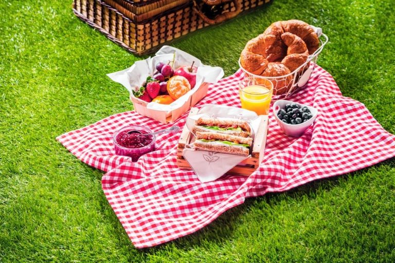 Cómo hacer un picnic y que no te invadan las hormigas