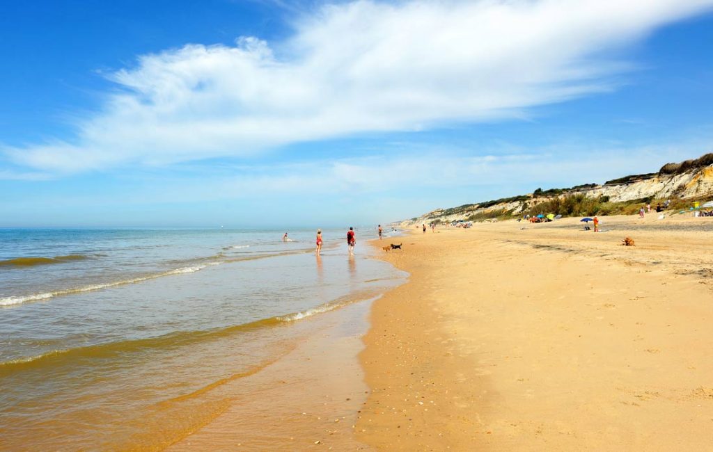 Dunas de Mazagón en el Parque Natural de Doñana
