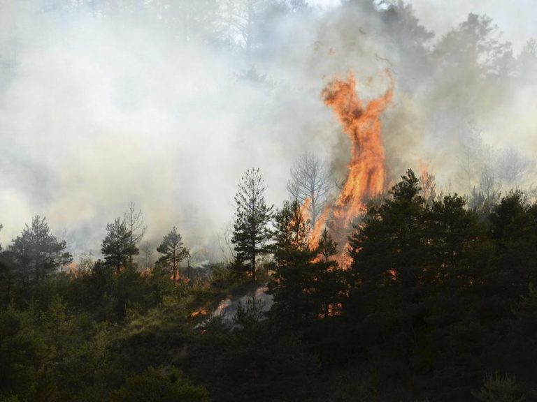 Protección Civil alerta riesgo de incendiosforestales para el fin de semana
