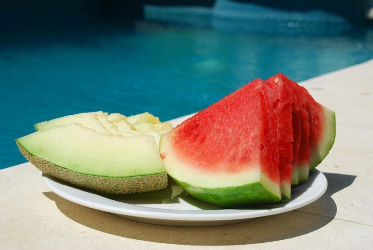 Qué es mejor, el melón o la sandía