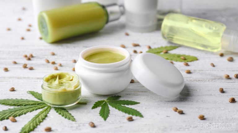 Qué son las cremas CBD