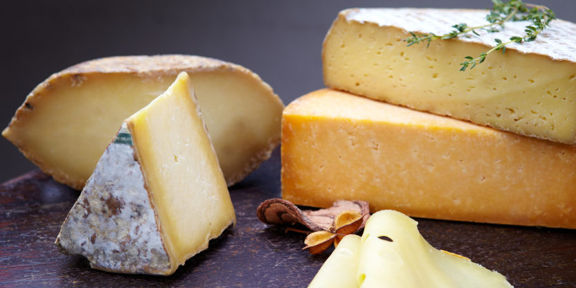 ¿Cuál Es La Función Que Cumple La Corteza Que Cubre El Queso?