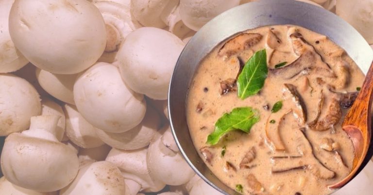 Salsa de champiñones: este ingrediente conseguirá potenciar su sabor