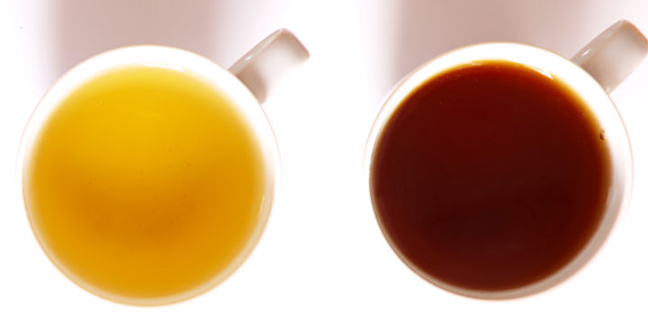 Diferencias Y Similitudes Que Hay Entre El Té Rojo Y El Té Verde A La Hora De La Quema De Grasas En El Cuerpo