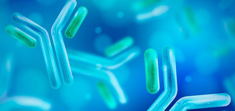 Un estudio apoya la noción de que la inmunidad tras la infección es duradera