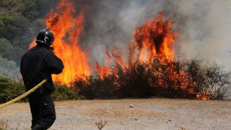 Un estudio revela los ‘ingredientes’ de los grandes incendios forestales