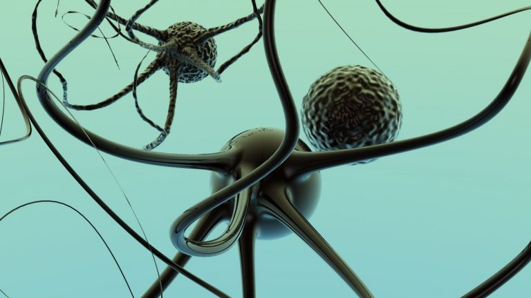 Identifican cómo se desencadena la respuesta de las neuronas del cerebro