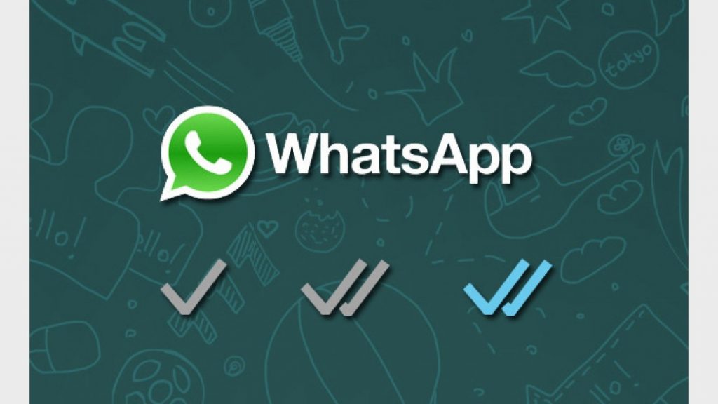 Confirmacion Lectura Whatsapp