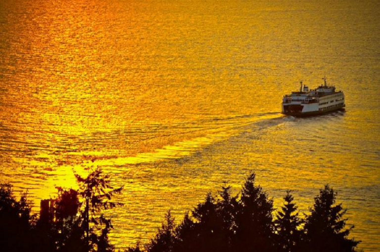 Mr Ferry, el nuevo comparador en tiempo real de ferries con más de 1.500 rutas por el Mediterráneo