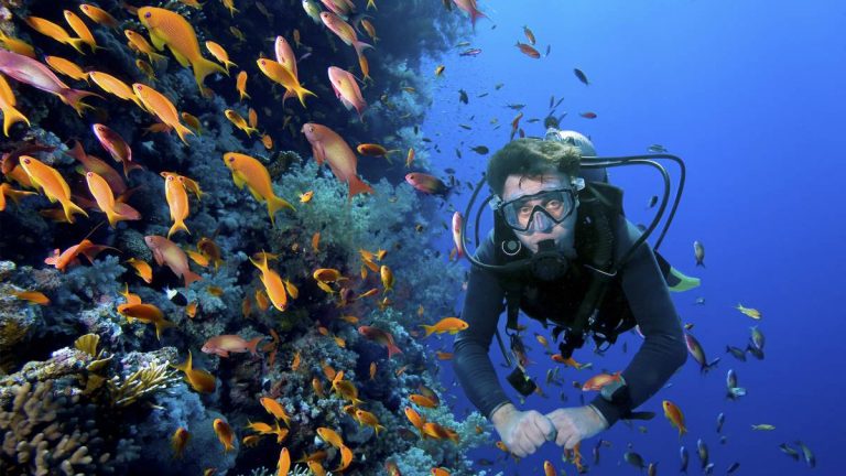 Gadgets imprescindibles si te gusta el submarinismo