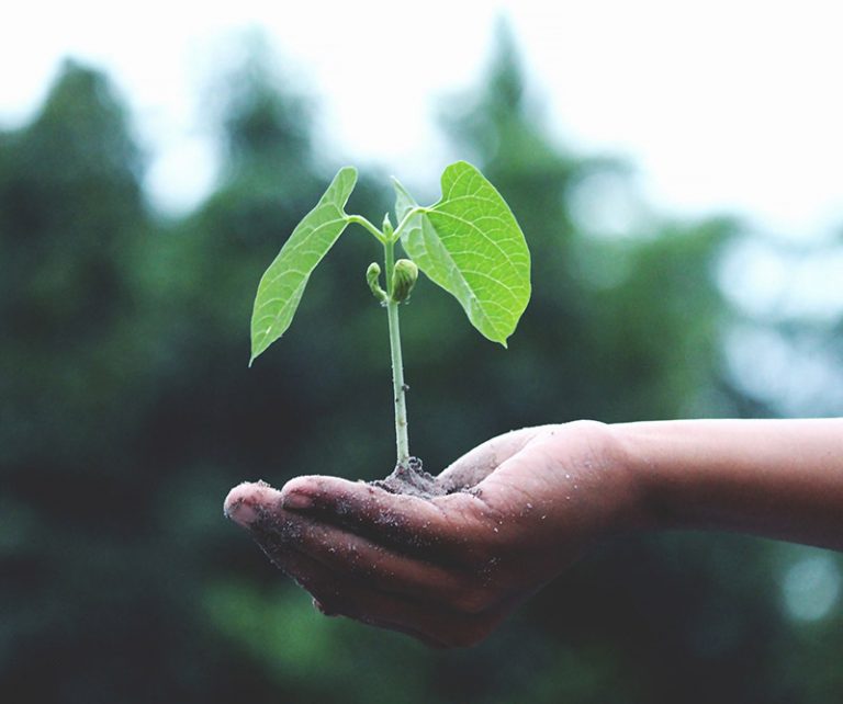 La industria española destinó 2.792 millones a protección ambiental en 2019