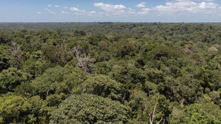 Las CCAA recibirán 511 millones para inversiones en restauración medioambiental