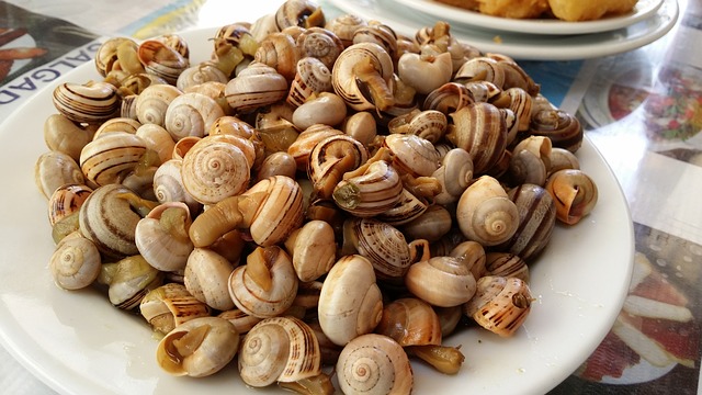 Caracoles: Así Preparas El Plato Más Olvidado De Las Abuelas 