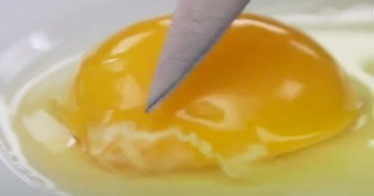 ¿Se puede comer la cosa blanca que sale en algunos huevos?