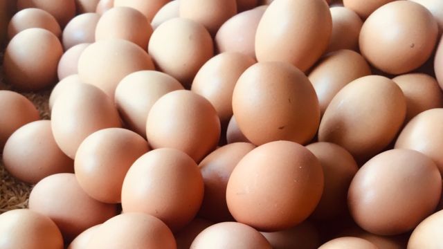 ¿Qué Son Los Huevos?
