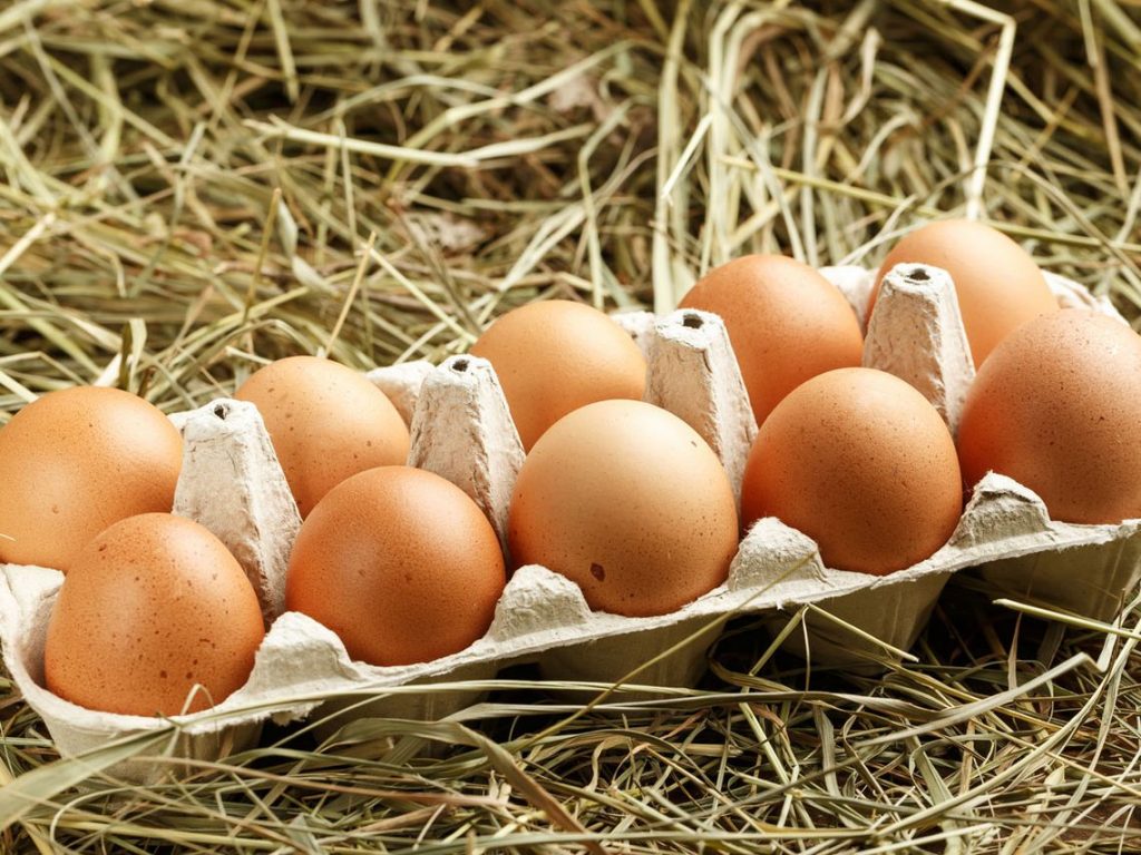 ¿Se Puede Comer La Cosa Blanca Que Sale En Algunos Huevos? 3 ¿Cuándo Los Huevos Son Destinados Al Consumo Humano?