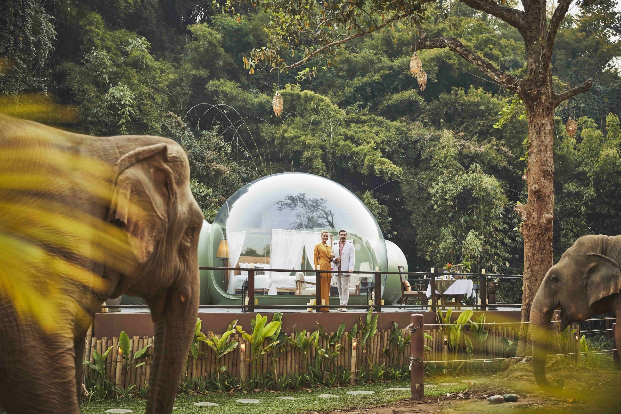 A la búsqueda del Hotel Burbuja perfecto 1 1628529931 elef55 scaled