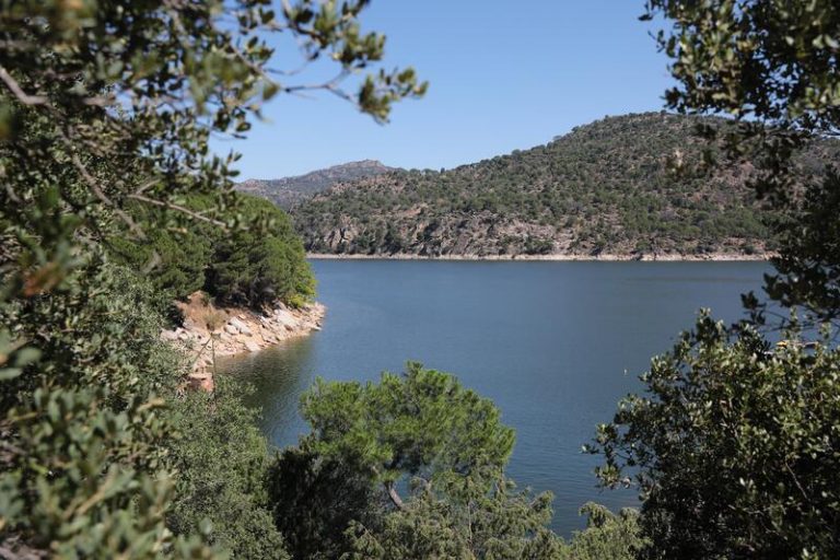 Matorral y pino bajo, la mayor parte de la vegetación afectada por el incendio en el Pantano de San Juan