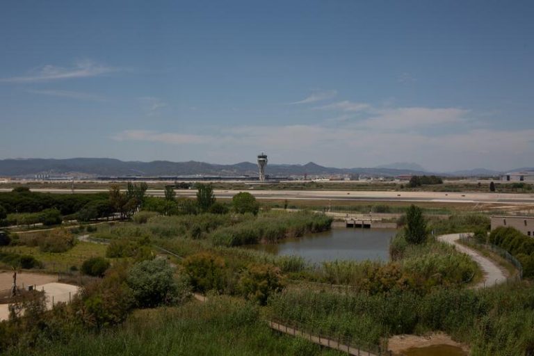 Raquel Sánchez afirma que el hub de Barcelona creará un nuevo espacio natural con un 25% más de superficie protegida