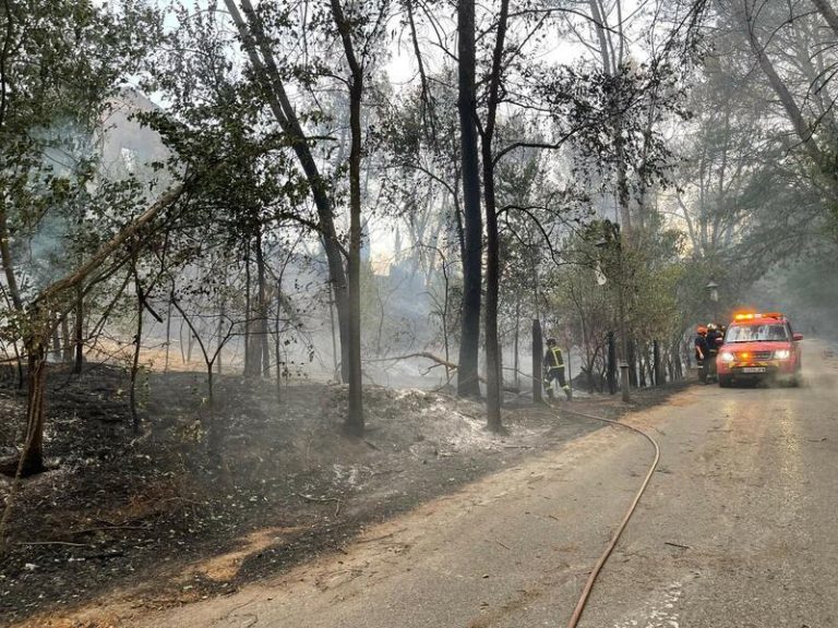 Se abre investigación sobre el origen del incendio de Batres como intencionado