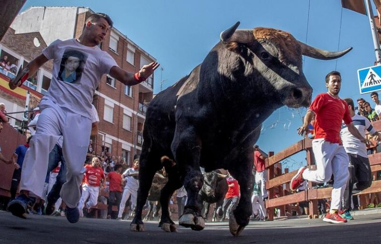 San Sebastián de los Reyes critica la prohibición de sus encierros