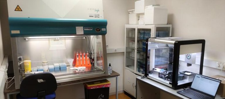 Red Centinela Sanitaria de Castilla y León aprecia estancamiento de la quinta ola entre jóvenes