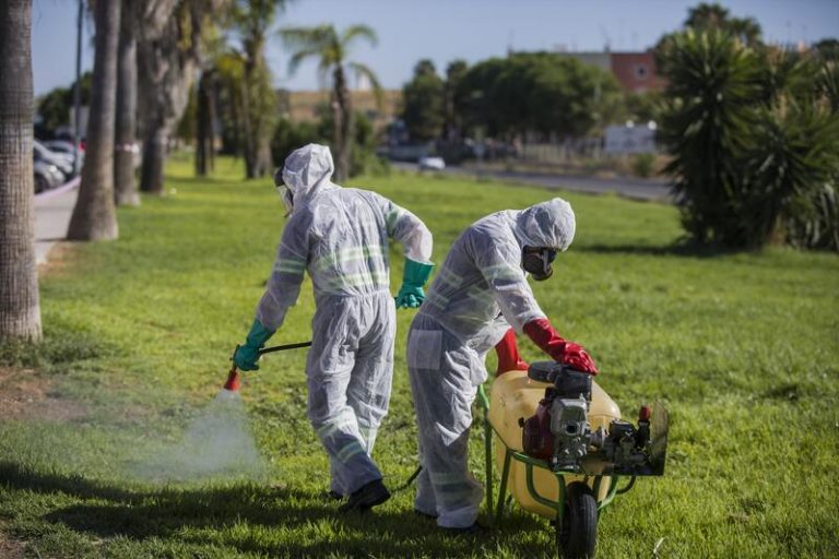 Ingresada una persona de Coria (Sevilla) infectada de Virus del Nilo Occidental