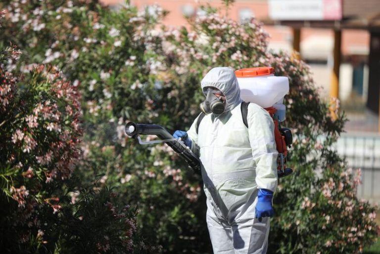 Andalucía: Se «intensificarán» las fumigaciones contra el mosquito del Nilo