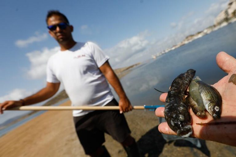Murcia: «Sí se han detectado ciertas zonas con hipoxia» en el Mar Menor