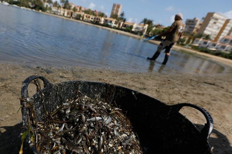 Colectivos y vecinos visibilizan este sábado la lucha en defensa del Mar Menor